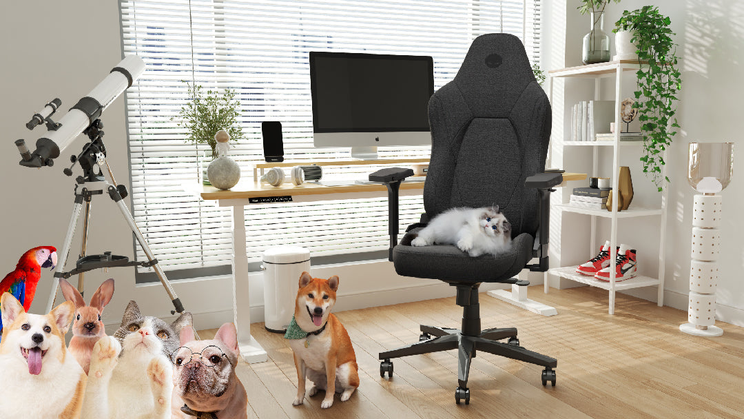 Built to handle daily use from both gamers and pets.