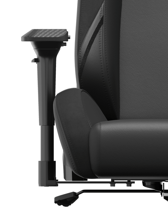 TR ADJUDICATOR EDITION - Black (8470890709297)